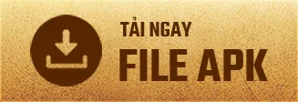 File APK
