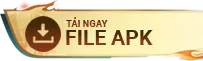 File APK