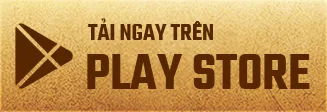 Playstore